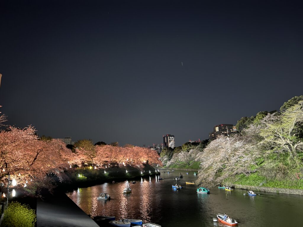 桜の季節の千鳥ヶ淵夜景＆ボート画像